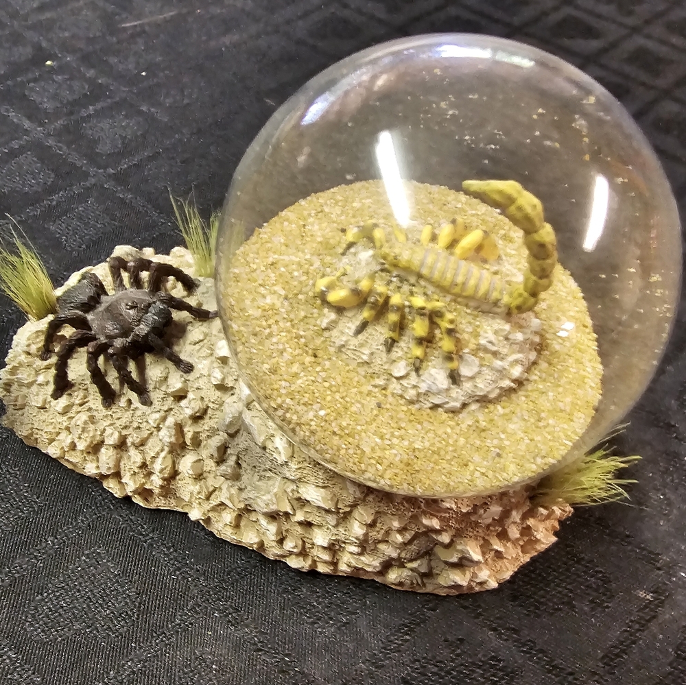 Arizona Highways Desert Snow Globe